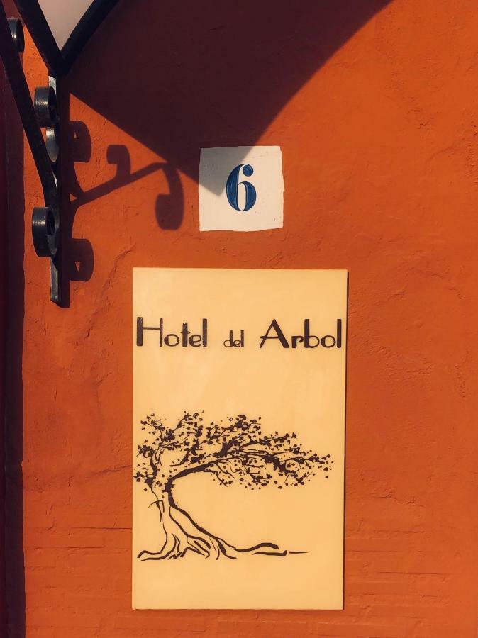 Hotel Del Arbol Xàtiva Kültér fotó